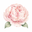 Favicon of DigiBouquet AI